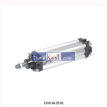 Picture of 1319.40.25.01 Pneumax Cylinder to ISO 15552