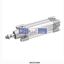 Picture of 0822121008  AVENTICS Profile cylinder