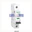 Picture of A9F44125  SCHNEIDER   Miniature Circuit breaker
