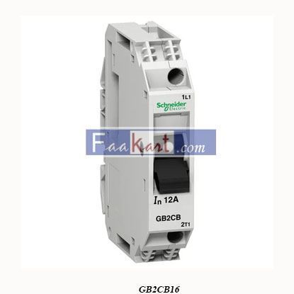 Picture of GB2CB16  SCHNEIDER Thermal magnetic circuit breaker