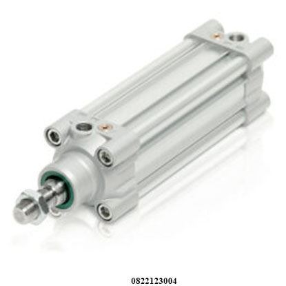 Picture of 0822123004  PRA-DA-063-0100-0-2-2-1-1-1-BAS  AVENTICS  Profile cylinder