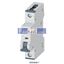 Picture of 5SY6106-7 SIEMENS Miniature circuit breaker