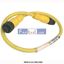 Picture of 889D-F4ACDM-0M3  ALLEN BRADLEY  Micro Cable