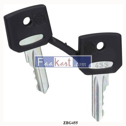 Picture of ZBG455  SCHNEIDER  set of 2 keys 455