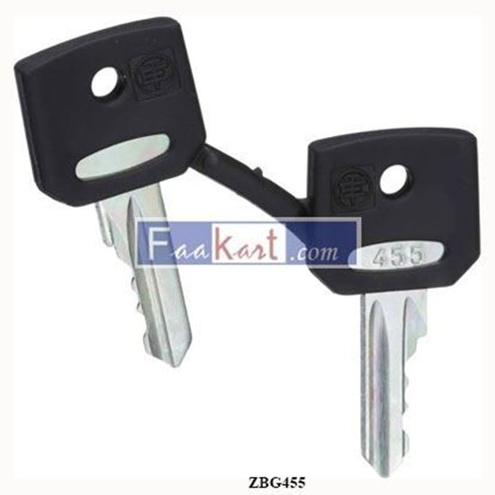 Picture of ZBG455  SCHNEIDER  set of 2 keys 455